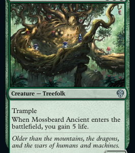 Dominaria United - Mossbeard Ancient - Brand New