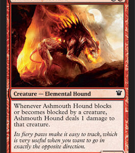 Innistrad - Ashmouth Hound - Near Mint