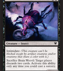 Innistrad - Brain Weevil - Near Mint