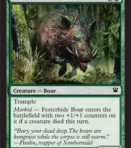 Innistrad - Festerhide Boar - Near Mint