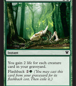 Innistrad - Gnaw to the Bone - Near Mint