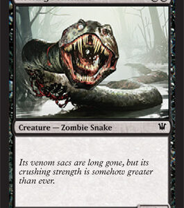 Innistrad - Rotting Fensnake - Near Mint