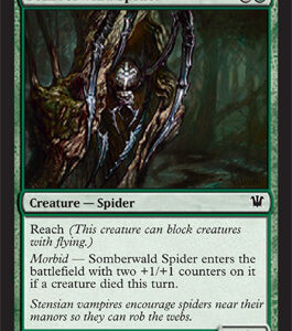 Innistrad - Somberwald Spider - Near Mint