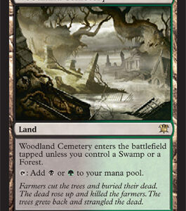 Innistrad - Woodland Cemetery - Near Mint