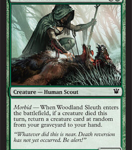 Innistrad - Woodland Sleuth - Near Mint